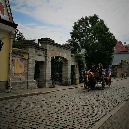 Perfect In Old Town With Parking * タリン